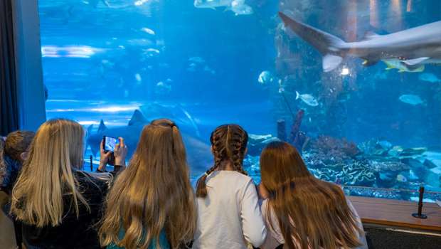 Tropicarium – Tropické akvárium v budapesti madarsko