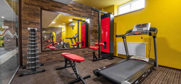 Fitness v Hoteli Alexander****