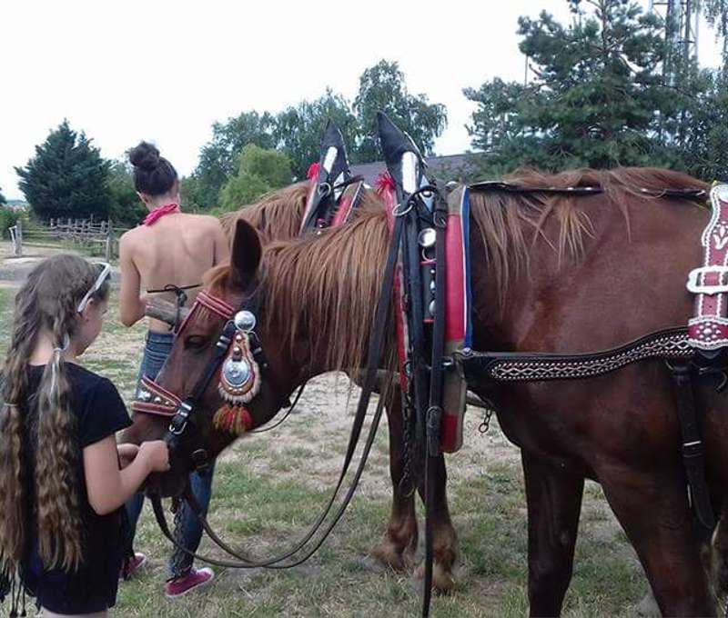 Jazda na poníkoch v Marianke pre deti už od 3 rokov