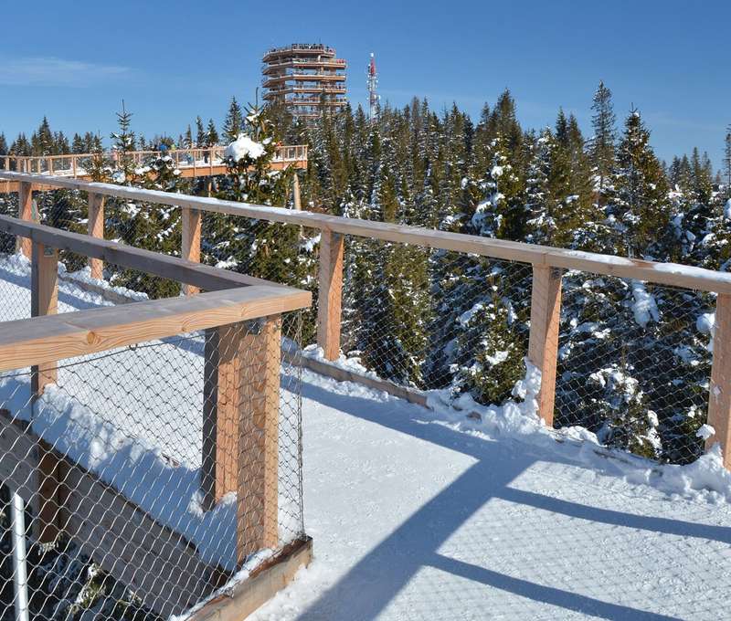 Len 8 minút autom od BACHLEDKA Ski & Sun