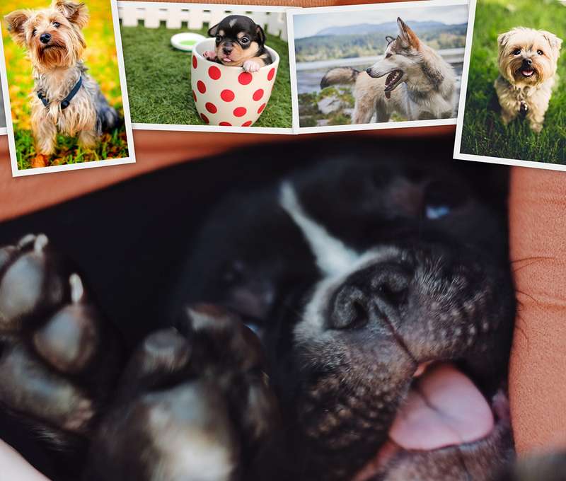 Koláž na plátne z vlastných fotografií - veľa rozmerov na výber