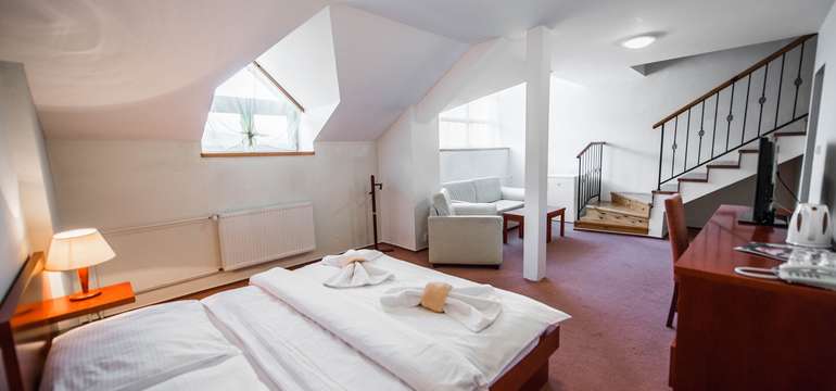 Hotel Plejsy Spa & Fun Resort ***