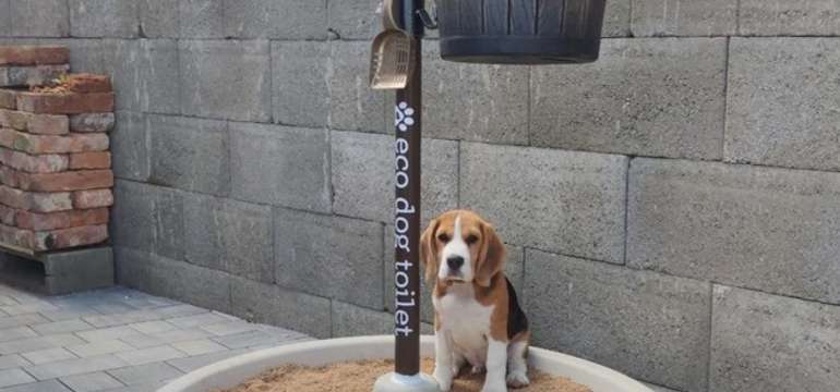 Psia toaleta ECO DOG TOILET ochráni vašu rodinu aj majetok