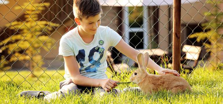 Súčasťou rezortu je aj minizoo