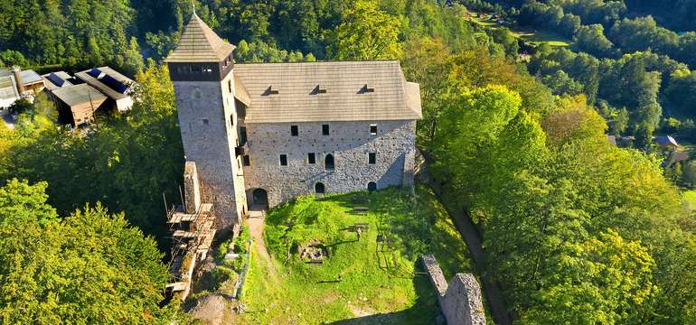 Litice sú zrúcanina hradu na zalesnenom návrší nad obcou Litice nad Orlicí
