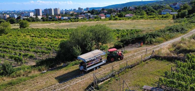 Vínovlečka - zážitková jazda vo vinohradoch s degustáciou vín