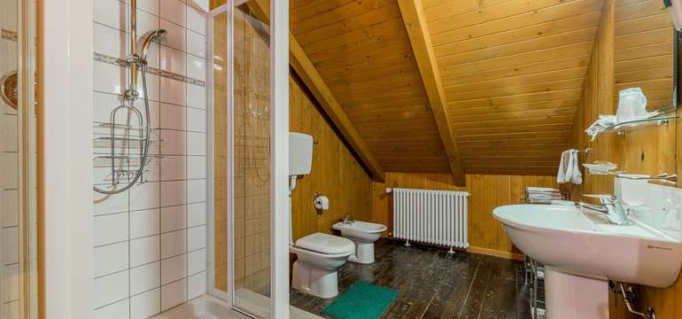 Každá izba má vlastnú kúpeľňu: sprchovacíkút, bidet, umývado, fén a WC