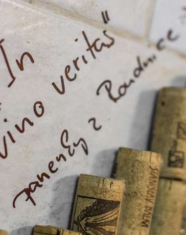 Vychutnejte si vinný oddech ve Velkých Pavlovicích