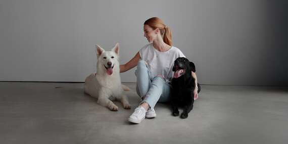 Kompletná úprava psíka v Pet salóne HaFun na Záhorí v Jablonovom/Jablonové