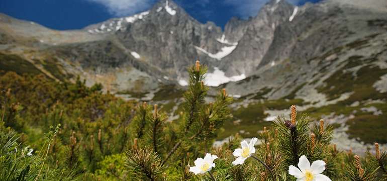 Tatry