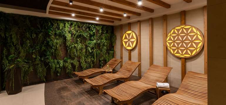 Wellness