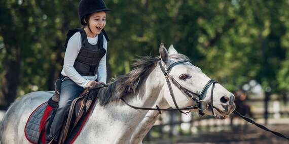 OBĽÚBENÉ: Lekcie jazdenia na koni s inštruktorom pre deti aj dospelých v Bratislave/Bratislava - Podunajské Biskupice