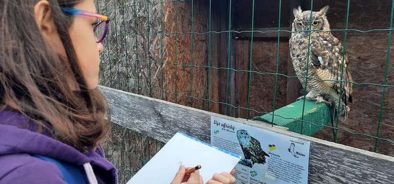 Sokoliareň a minizoo Devín