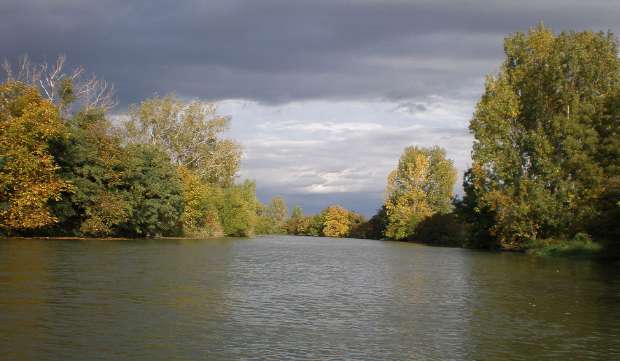 maly dunaj pri obci zalesie