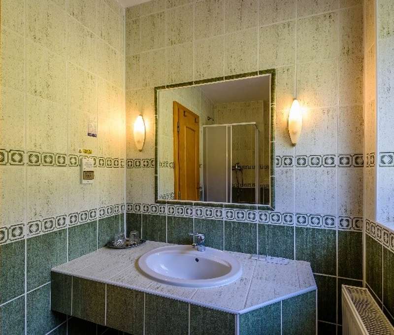Izba Štandard: Kúpeľňa so sprchovým kútom