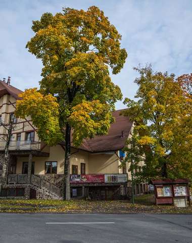 Hotel Tulipán***