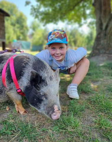 Sokoliareň a minizoo Devín