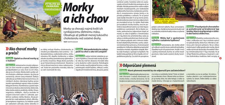 Ročné predplatné časopisu Urob si sám - nový impulz pre každé tvorivé „ja"