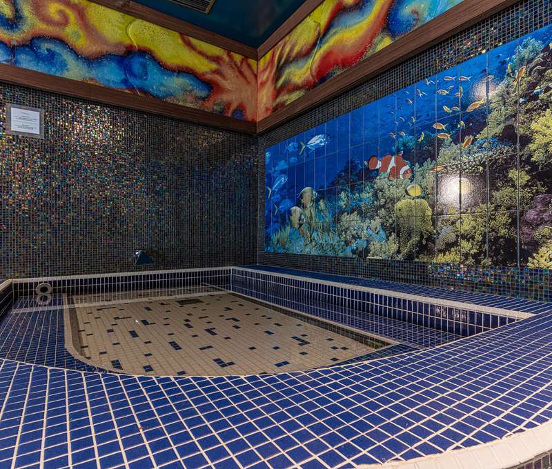 Súčasťou saunového sveta je fínska, bylinková, eukalyptová, infrasauna a turecká sauna(slúži výhradn