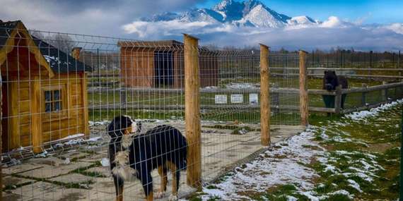 Horský Tatragolf Mountain Resort**** vo Veľkej Lomnici so stravou a možnosťou privátneho wellness/Vysoké Tatry - Veľká Lomnica