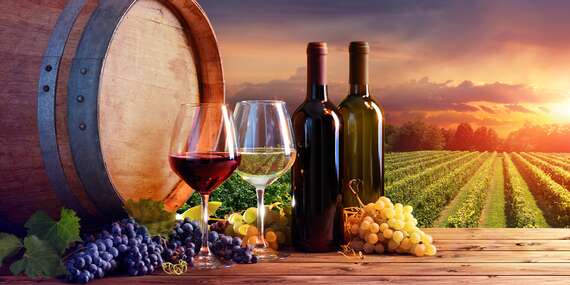 Pobyt s degustací a neomezenou konzumací vína ve Vinařství Lintner na Znojemsku s platností až do června 2024/Jižní Morava - Znojmo