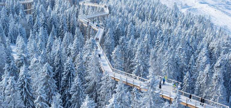 Od vily pešo priamo na Chodník korunami stromov sú to cca 2 km