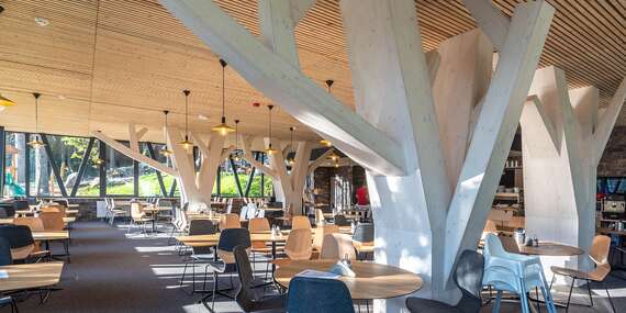 Legendárny škandinávsky Hotel Björnson Jasná*** s neobmedzeným wellness a polpenziou + zľavy do aquaparkov/Demänovská Dolina – Jasná