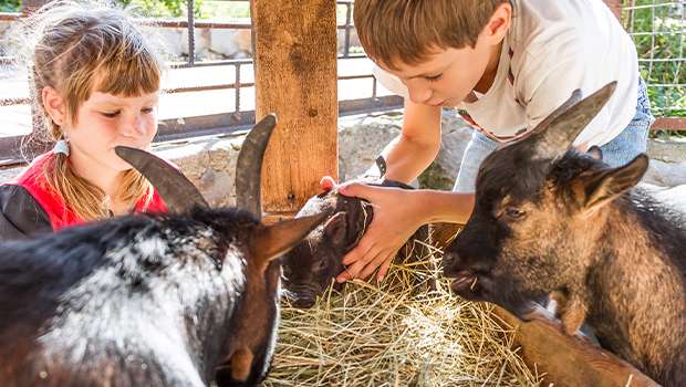 zazitkove farmy a minizoo rpe deti na slovensku