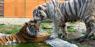 ZOOKONTAKT family park  je výlet na celý deň a zážitok na celý život