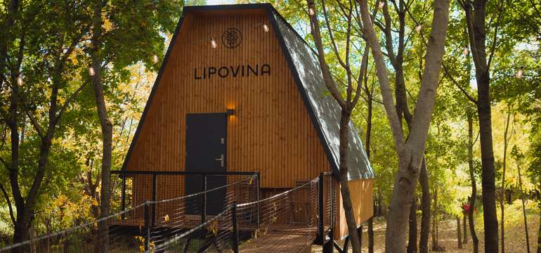 Netradičné ubytovanie v korunách stromov