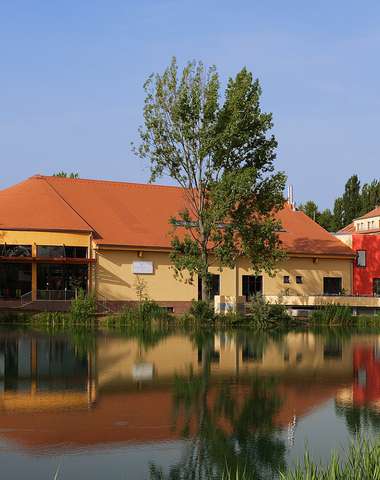 Wellness Hotel Patince****, moderný family wellness hotel