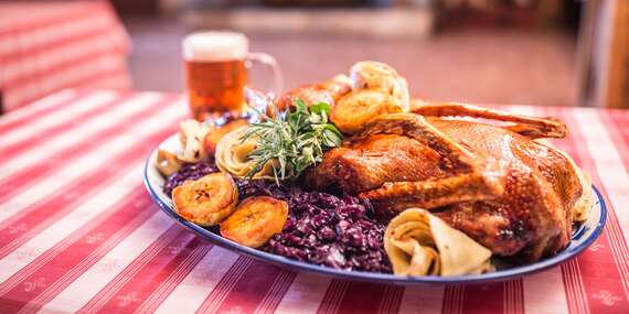 Kačacie hody priamo pri Dunaji v hoteli Divoká Voda v Čunove/Bratislava – Čunovo