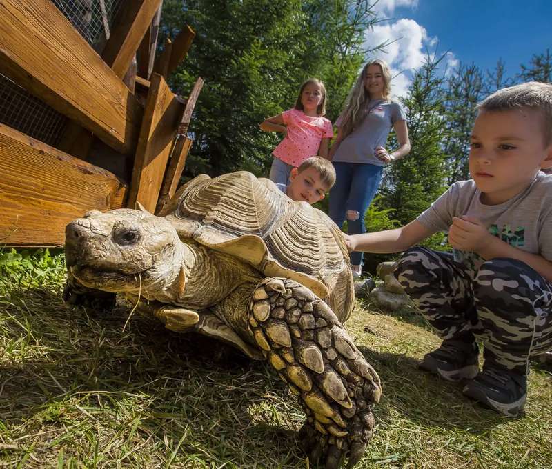 ZOOKONTAKT family park