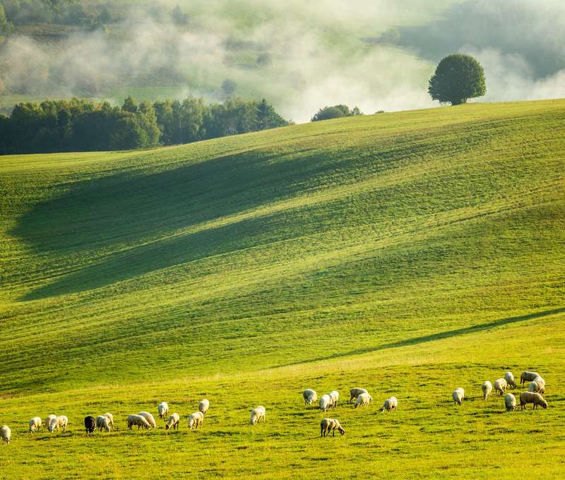 Tešte sa na relax v krásnej čistej prírode, kde čas plynie pomalšie, než ste zvyknutí