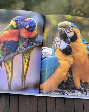 Fotokniha vám umožní sdílet své fotografie s nejbližšími