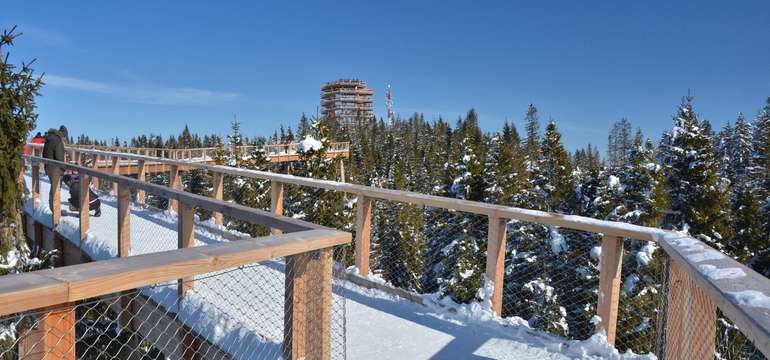 Chodník korunami stromov len 10 minút autom