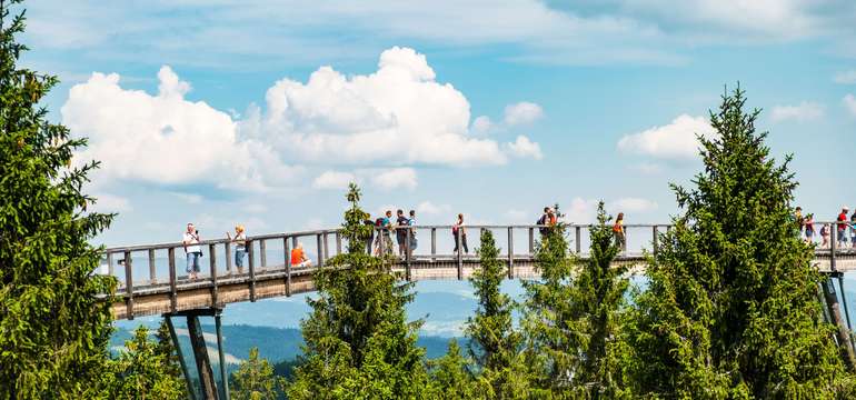 Od vily pešo priamo na Chodník korunami stromov sú to cca 2 km