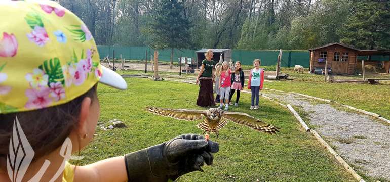 Sokoliareň a minizoo Devín