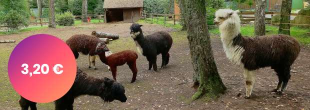 Zoo v Spisskej novej vsi