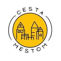 Cesta mestom
