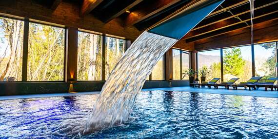 Vstupy do bazéna a wellness zóny rezortu Drevenice Terchová s panoramatickým výhľadom do prírody/Terchová