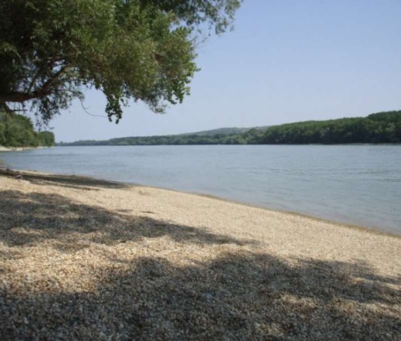 Dunaj