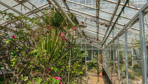 Botanická záhrada Univerzity P. J. Šafárika