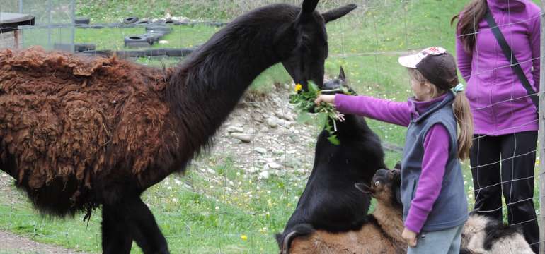 Kontakt so zvieratami v MINI ZOO 