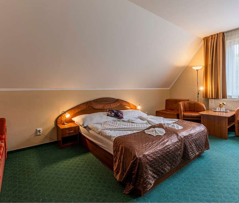 Penzion Kamzík*** s polopenzí a vstupem do relaxační zóny pod Tatrami