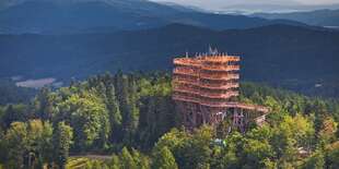 V Krynici sa môžete prejsť poľským chodníkom korunami stromov (30 min. autom od hotela)