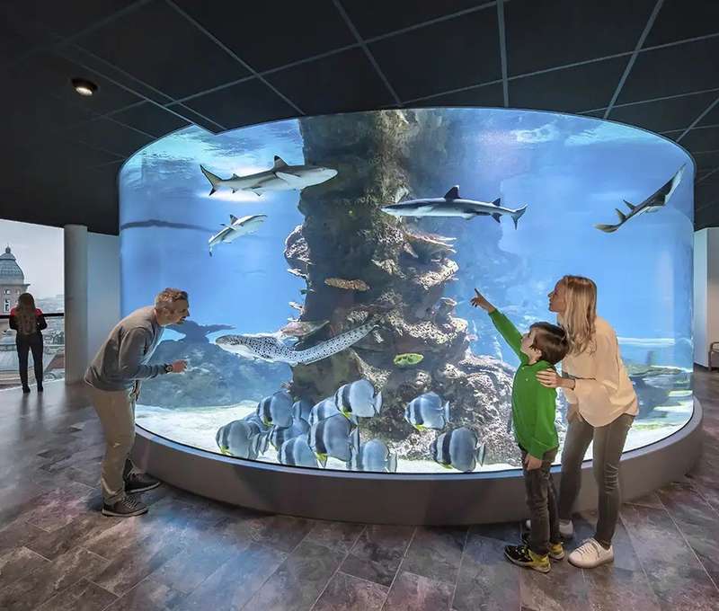 Valcove akvárium so žralokmi v Dome morí vo Viedni
