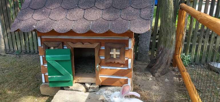 Pre našich najmenších hostí a milovníkov zvierat je v zadnej časti záhrady mini farma