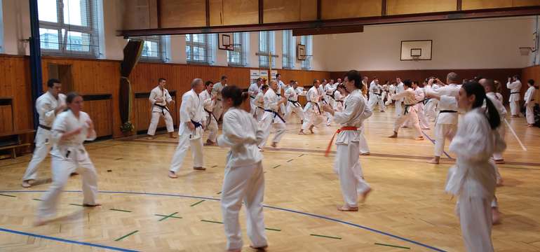 Karate a kobudo posilňujú telesnú a duševnú kondíciu