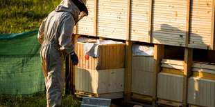 Apiterapia vo Včelíne pod lesom - spojenie prírody a zdravia pre zlepšenie kvality života